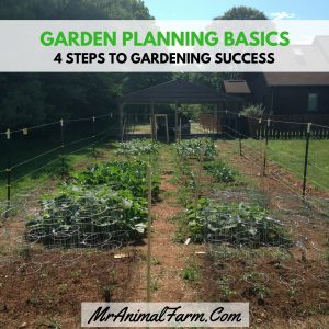 Four Garden Planning Basics