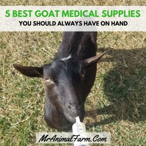 goat medical supplies