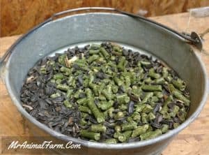 mixture of alfalfa pellets and sunflower seeds